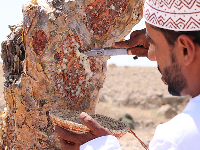 اكتشف ألماس عُمان في تجربة تخطف الأنفاس بمنتجع البليد صلالة